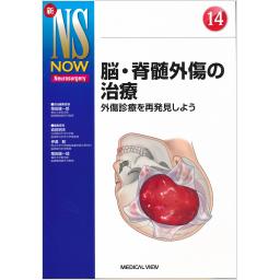 新NS NOW